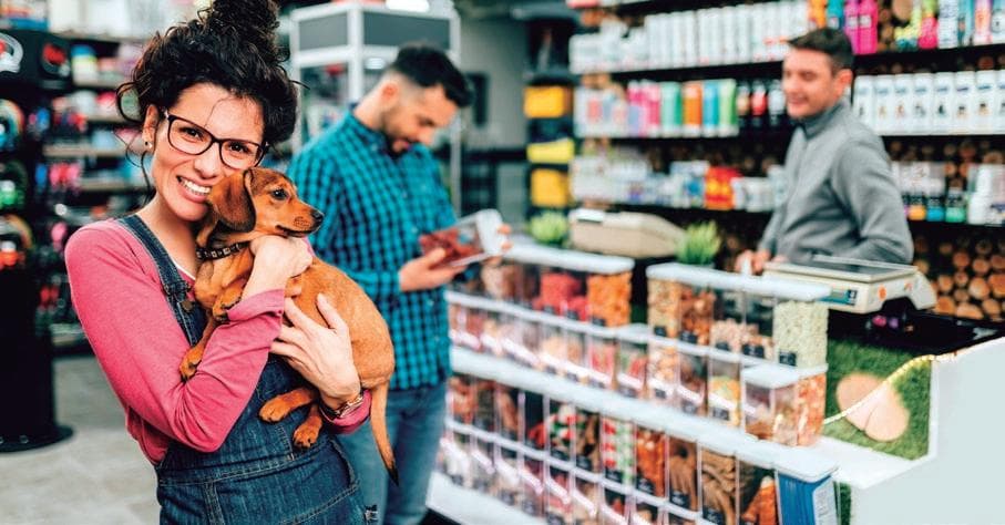 Imagen del equipo de PetCare Paradise